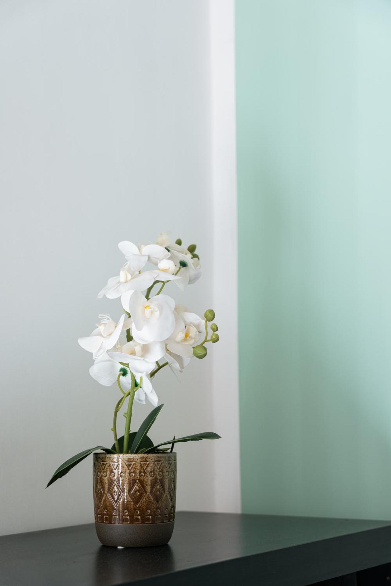 Urban Nest Apartment Roma Ngoại thất bức ảnh